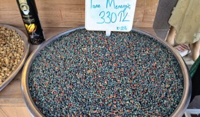 Diyarbakır’da her derde deva menengiç tezgâhlarda: Kilosu 330 TL