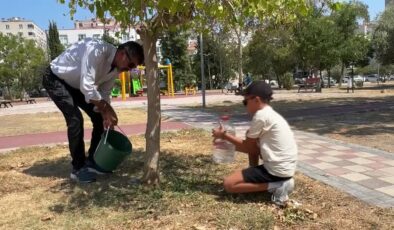 Avukat, ağaç sulaması kesilen belediyeyi mahkemeye taşıdı