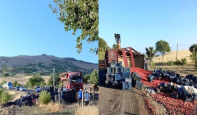 Çermik’te domates yüklü tır devrildi: Sürücü yaralandı