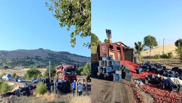 Çermik’te domates yüklü tır devrildi: Sürücü yaralandı