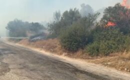 Bodrum’da makilik ve zeytinlik alanda çıkan yangın söndürüldü