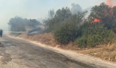 Bodrum’da makilik ve zeytinlik alanda çıkan yangın söndürüldü