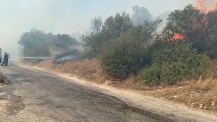 Bodrum’da makilik ve zeytinlik alanda çıkan yangın söndürüldü