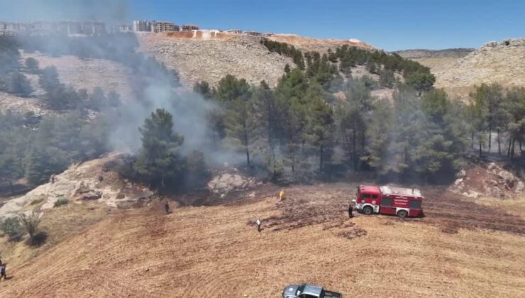 Ormanlık alanda çıkan yangın söndürüldü
