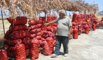 Çiftçi ürettiği soğanı yol kenarına kurduğu tezgahta satıyor