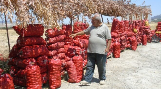 Çiftçi ürettiği soğanı yol kenarına kurduğu tezgahta satıyor