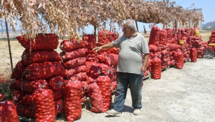 Çiftçi ürettiği soğanı yol kenarına kurduğu tezgahta satıyor