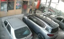 Komşusunun köpeğini silahla öldüren zanlı tutuklandı
