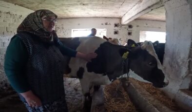 Büyükşehirden köye dönüşte başarı hikâyesi