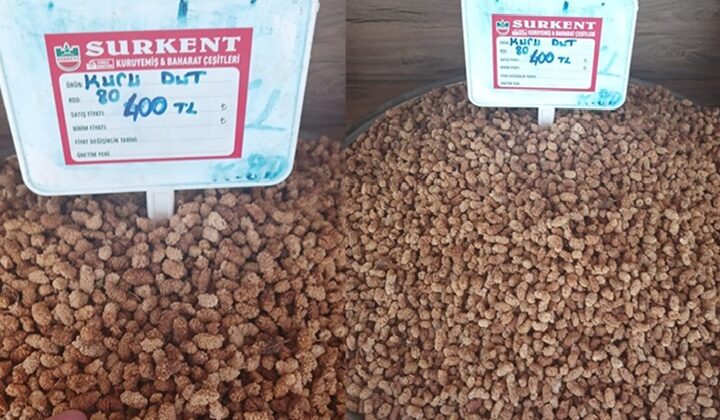 Mevsiminde yaş olanı; şimdi kurutulmuş hali şifa kaynağı