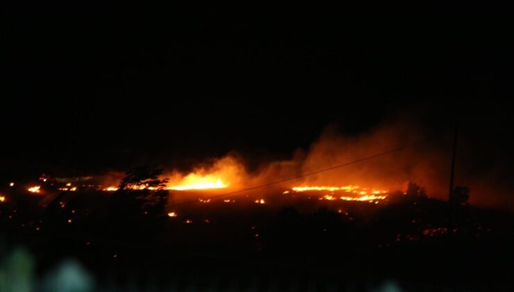 Malatya’da çıkan orman yangını kontrol altına alındı