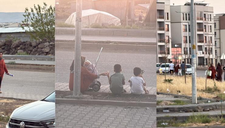 Oğlaklı TOKİ’de alışveriş alanı eksikliği depremzedeleri mağdur ediyor