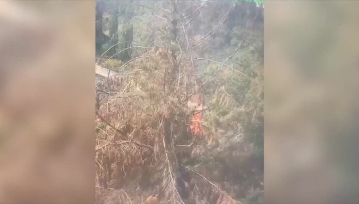 2 ayrı noktada kasten yangın çıkardığı öne sürülen zanlı yakalandı