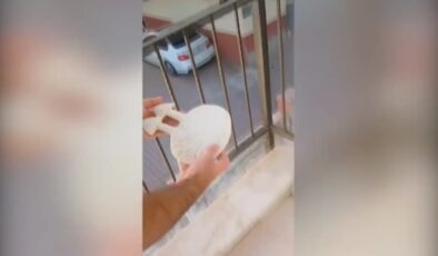 29 ilde dolandırıcılık operasyonu: 64 şüpheli tutuklandı