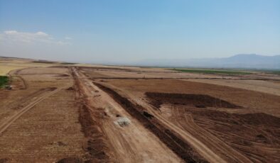 750’si kadın 1000 kişi, Silopi’de seralarda istihdam edilecek