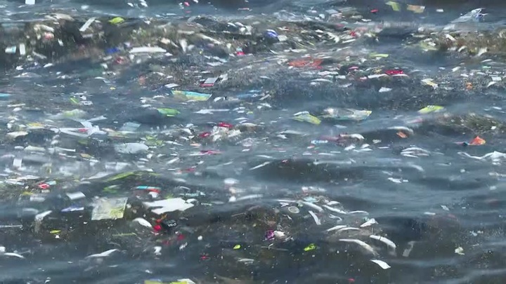 İzmir Körfezi’nde balık ölümleri sürüyor