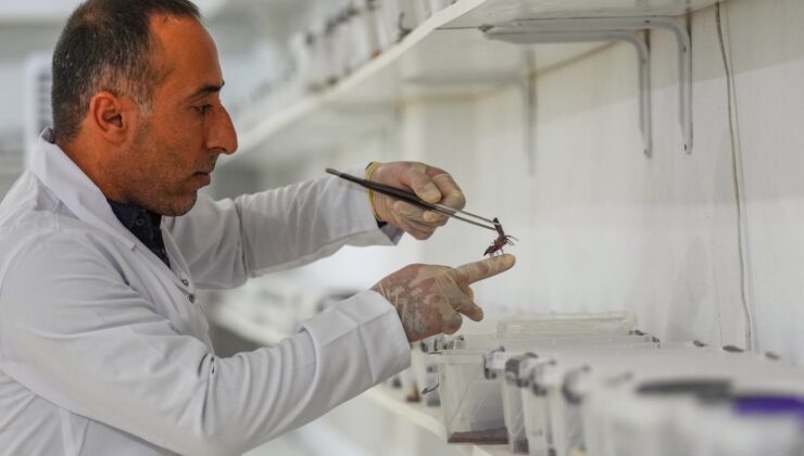 Çocukluk merakı milyon dolarlık tesise dönüştü