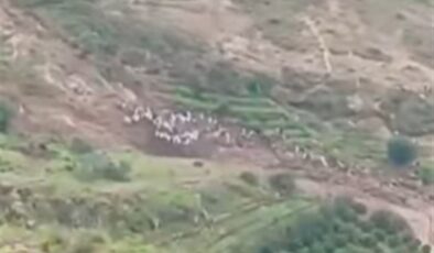 Dağ köyü heyelanla yok oldu, binin üzerinde can kaybı var