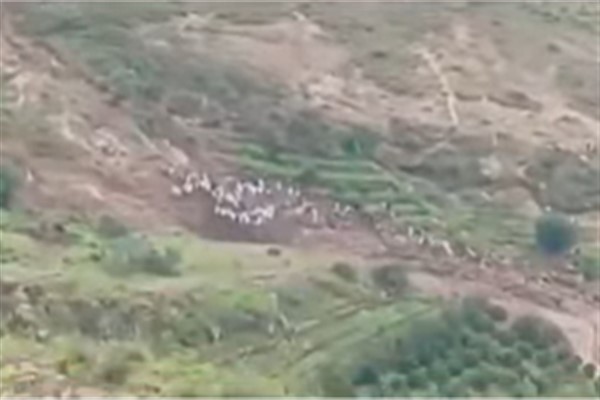 Dağ köyü heyelanla yok oldu, binin üzerinde can kaybı var