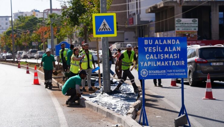 Diyarbakır’da park projeleri hız kazandı, eşbaşkanlar sahada