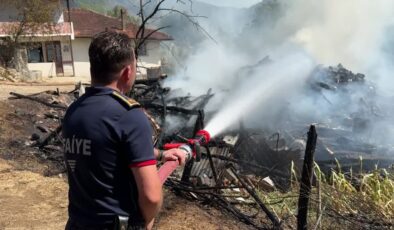 Evde çıkan yangın ormana sıçradı