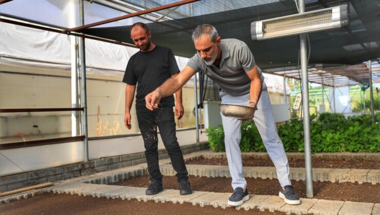 Kayapınar’da kenti süsleyecek çiçek ekimi başladı
