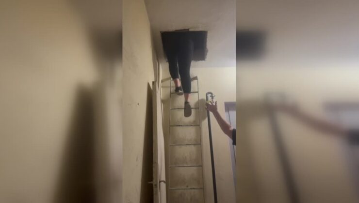 Masaj salonuna yönelik fuhuş operasyonunda 1 zanlı tutuklandı