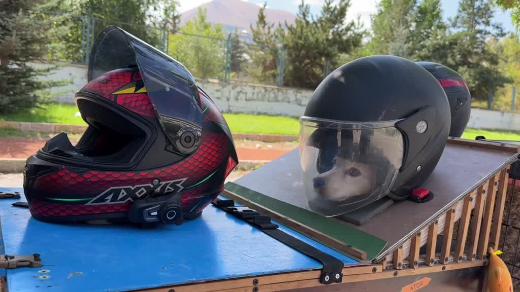 İki gezgin ve iki köpek 17 aydır Türkiye’yi turluyor