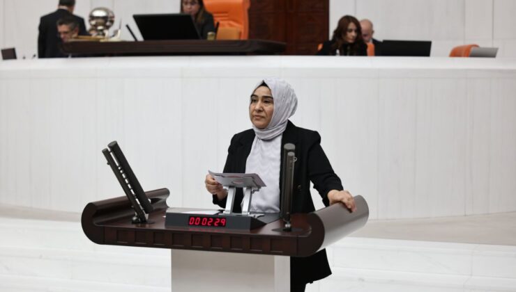 Rojin Kabaiş dosyası hâlâ karanlıkta, Van’daki kadın ölümleri Meclis gündeminde