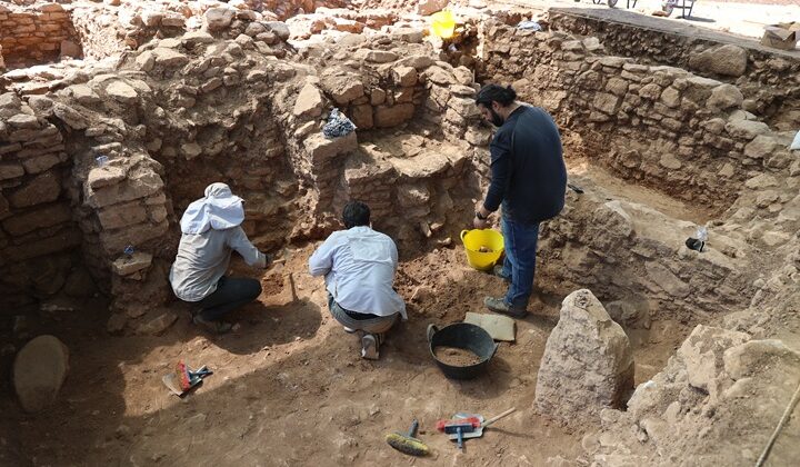 Şanlıurfa Sefertepe kazılarında 12 insan kafatası bulundu