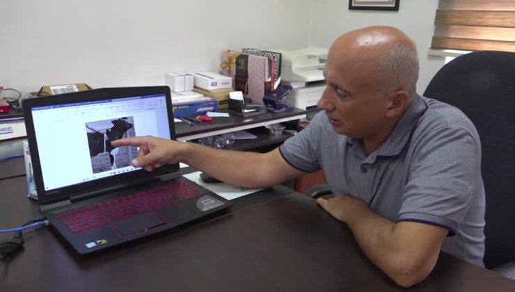 Erzurum’da sığırların ağırlığını temassız ölçen sistem tescillendi