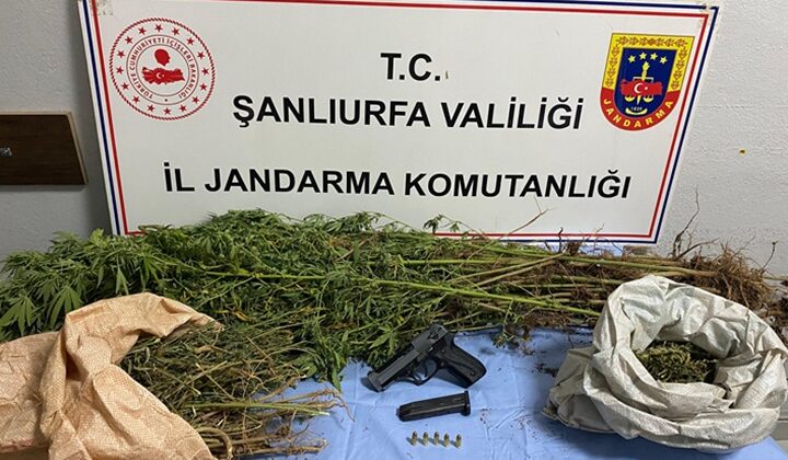 Uyuşturucu operasyonunda 8 şüpheli yakalandı