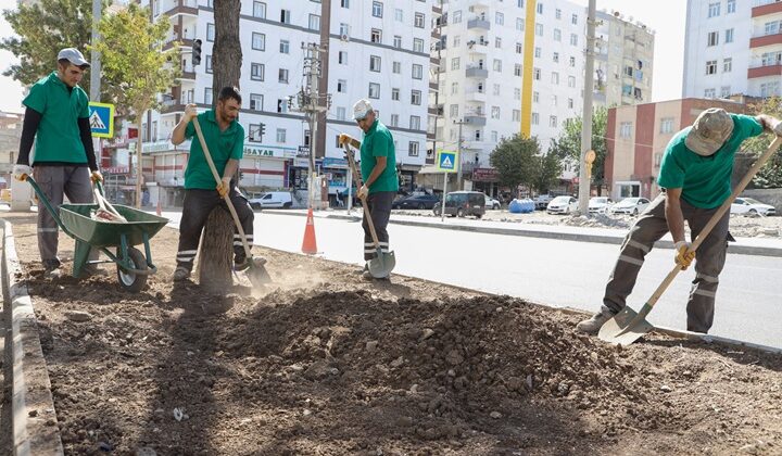 Bağlar ilçesinin cadde ve bulvarlarında yenileme