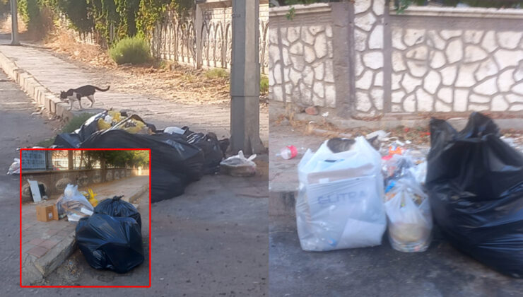 Bağcılar mahallesinde çöp konteynırı sorunu: Vatandaşlar tepkili