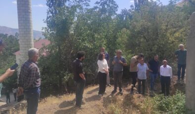 Milletvekili ve Baro Çevre Komisyonu Kulp’ta Gavgas Çayında inceleme yaptı